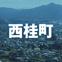 南都留郡西桂町で借りれる不動産担保ローン