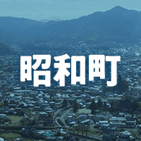 中巨摩郡昭和町で借りれる不動産担保ローン